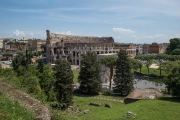 Ausblick vom Forum Romanum auf das Kolosseum