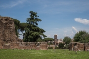 Forum Romanum