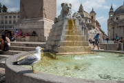 Piazza del Popolo